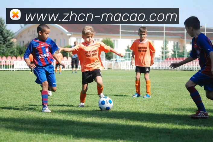 多媒体互动体验